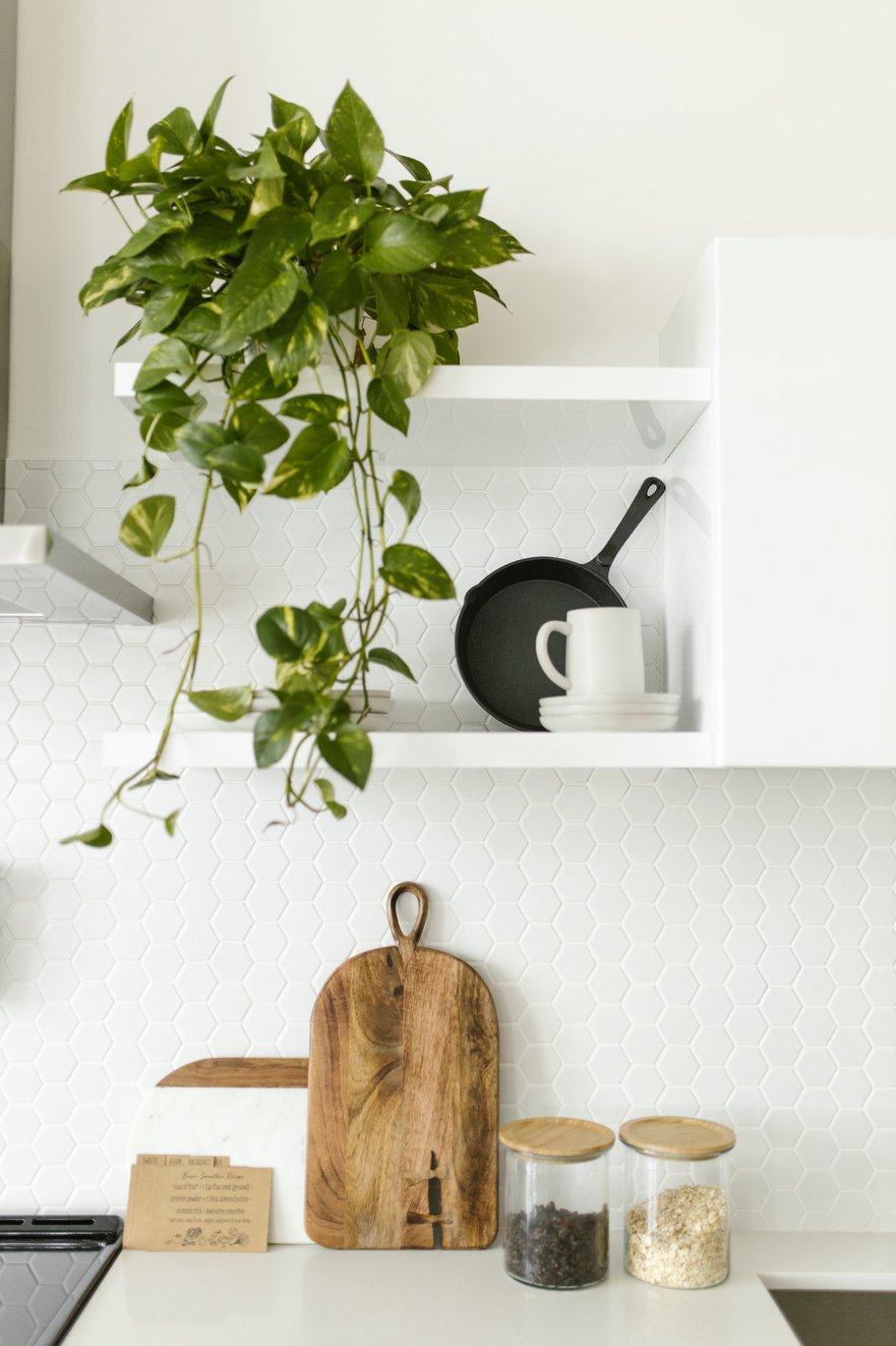 Potted Plant on a Kitchen Shelf